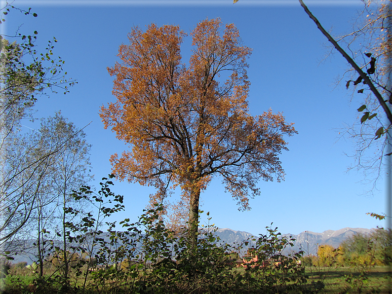 foto Paesaggi Autunnali tra le colline Fontesi